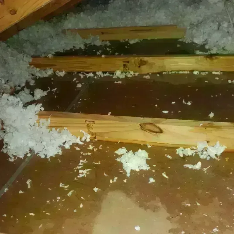 Attic Water Damage in Andover, MN