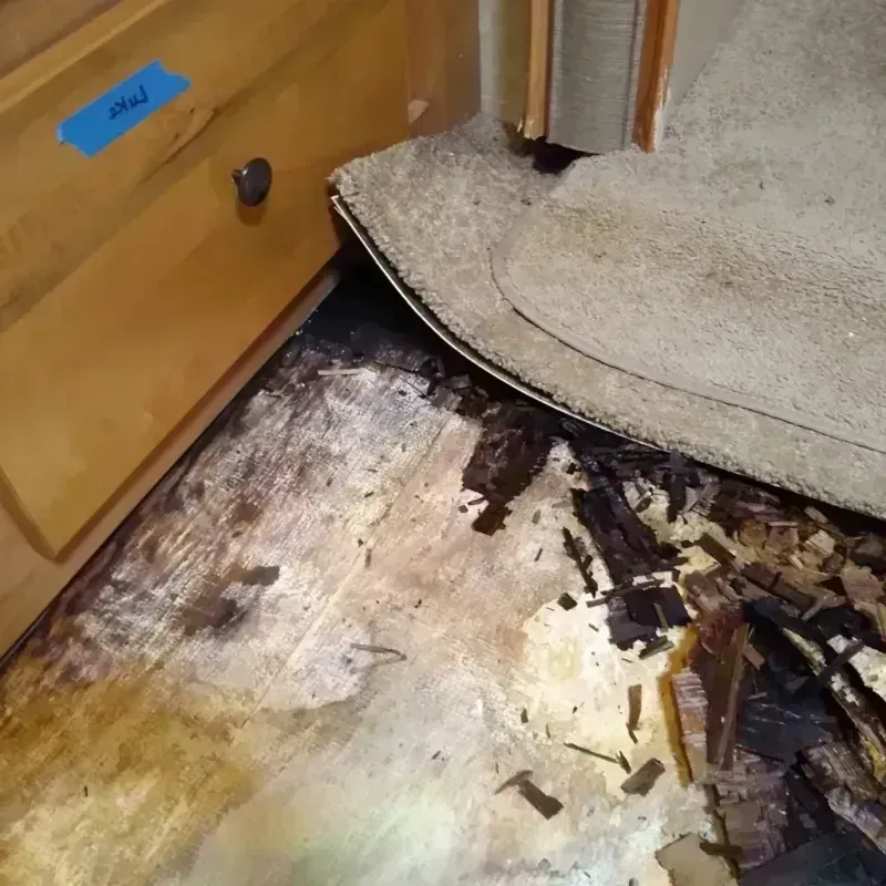 Wood Floor Water Damage in Andover, MN